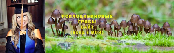 трава Магас