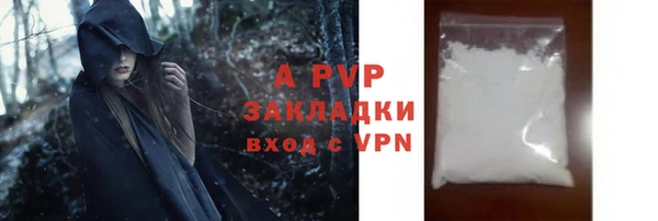 ECSTASY Майский