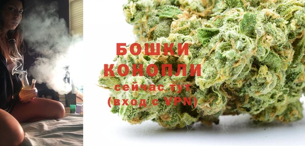 ECSTASY Майский