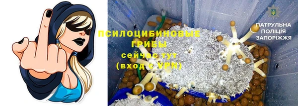 твердый Медвежьегорск