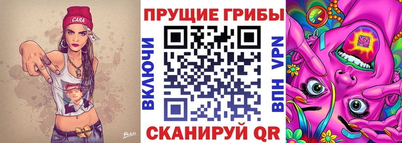 Купить где  Иноземцево  Галлюциногенные грибы Cubensis 